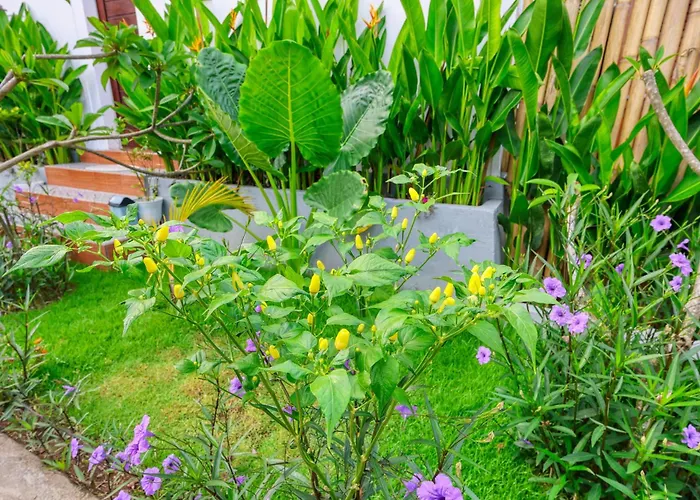 Holiday home Rostin Mesari